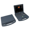 DW-C60 Schwangerschaft 3D Laptop Doppler Ultraschallsystem verkaufen